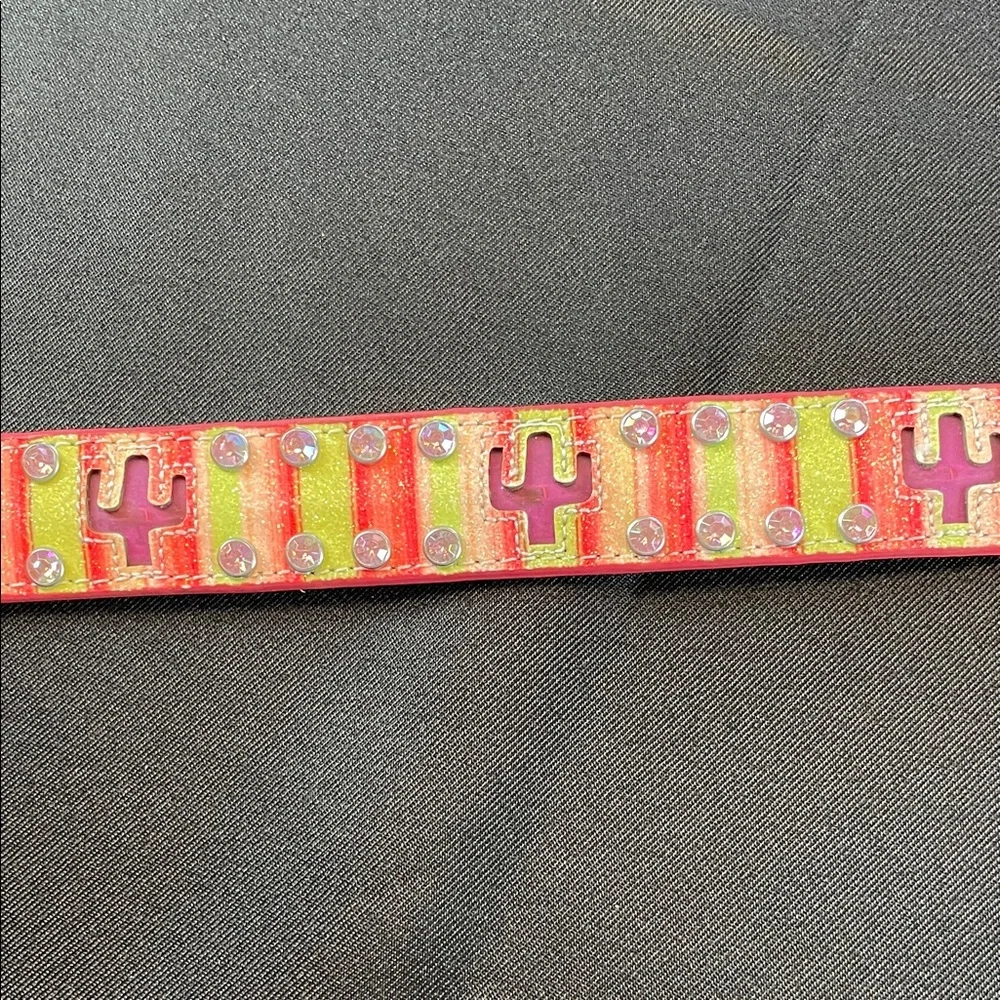 Blinking cactus Colorful Striped Belt with Rhinestone Buckle western